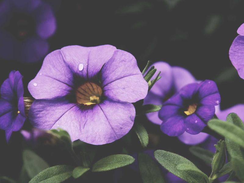 sudoku printable screenshot 4