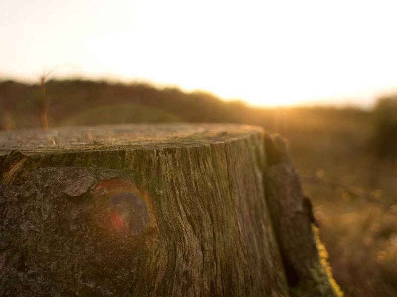 sudoku printable screenshot 1